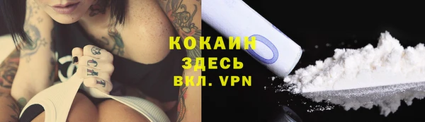 твердый Алексин