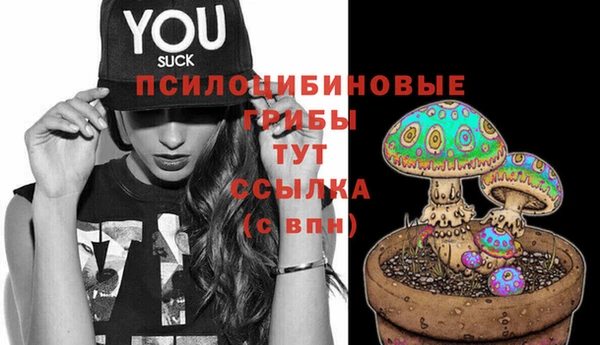 а пвп мука Алзамай