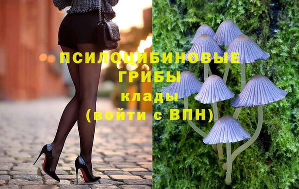 твердый Алексин