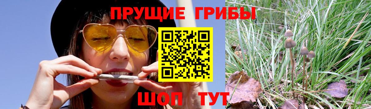 Псилоцибиновые грибы прущие грибы Салават